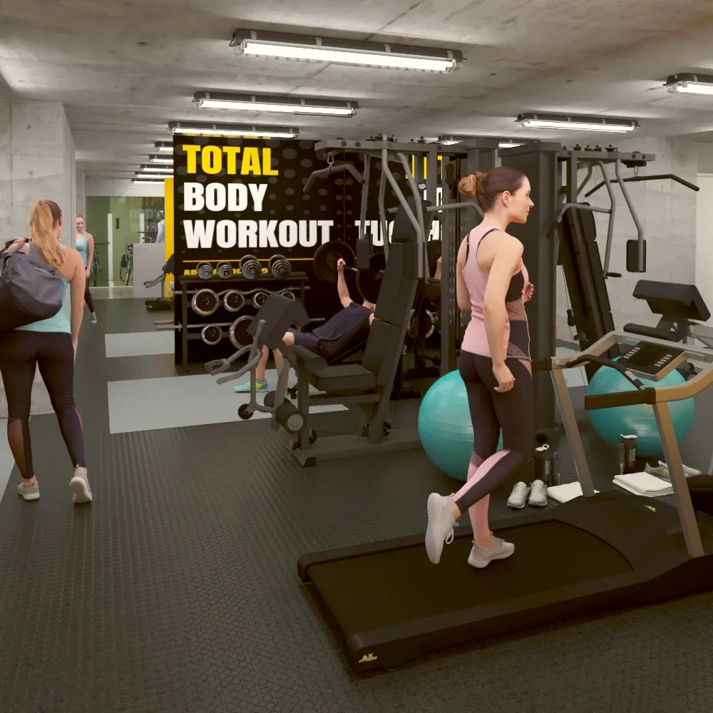 Gimnasio Equipado